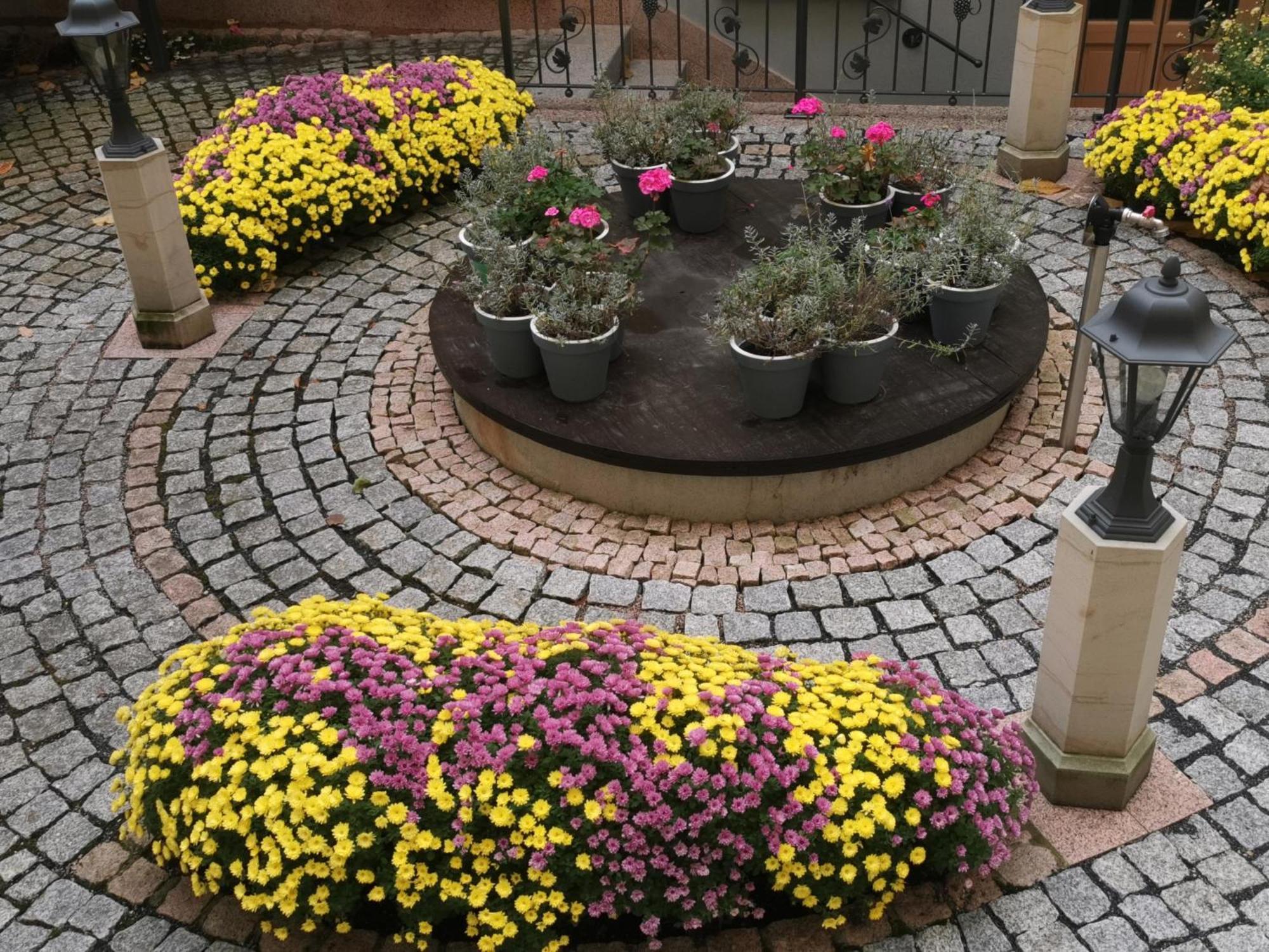 Altstadtidyll Meißen 외부 사진